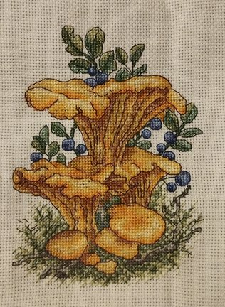 Лесная гостя и её сакровищя №180803