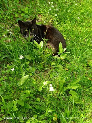 Наши дворики, улицы, любимые места - там, где мы живём ))) №180869