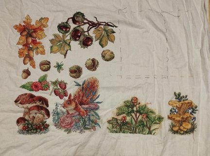 Лесная гостя и её сакровищя №181544