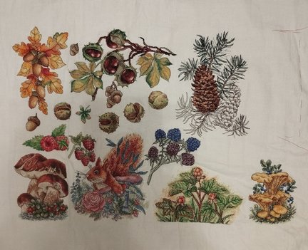 Лесная гостя и её сакровищя №181760