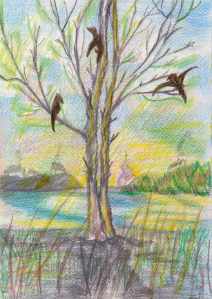 Мое хобби (рисование)... №181860