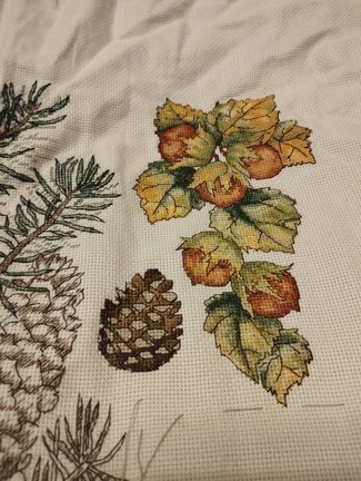 Лесная гостя и её сакровищя №181862