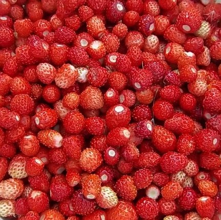 Сладкая земляника №181962