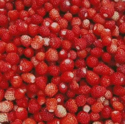 Сладкая земляника №181963