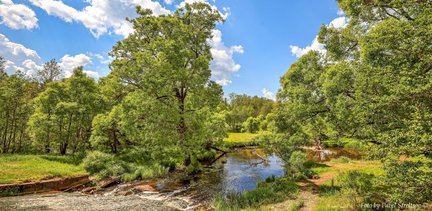 Наши дворики, улицы, любимые места - там, где мы живём ))) №182096