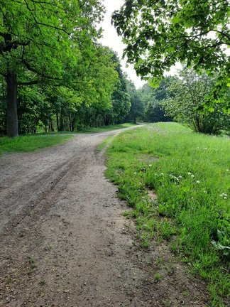 Наши дворики, улицы, любимые места - там, где мы живём ))) №182101