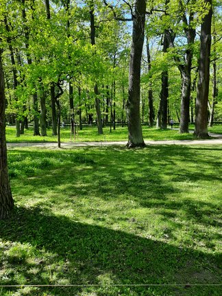 Наши дворики, улицы, любимые места - там, где мы живём ))) №182102