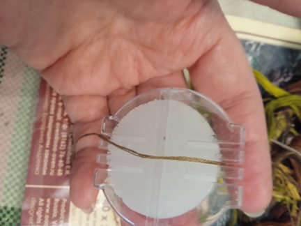 Природу в дом хочу 🤗 №182767