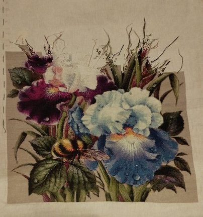 Ирисы и шмель №182850