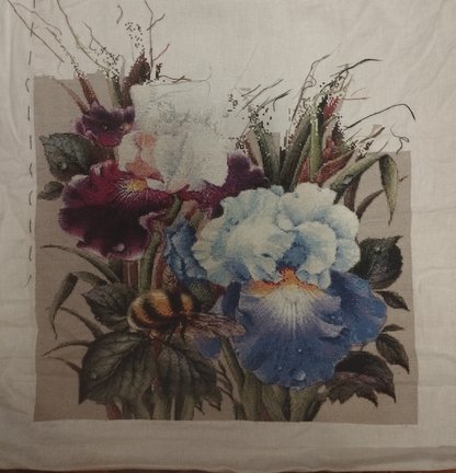 Ирисы и шмель №182872