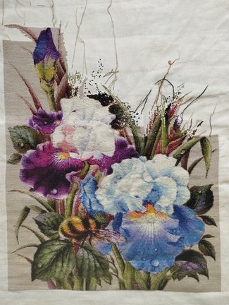 Ирисы и шмель №182920