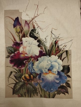 Ирисы и шмель №182978