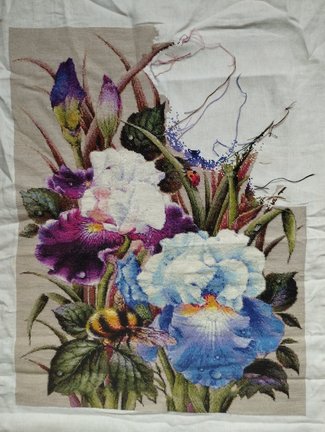 Ирисы и шмель №183088