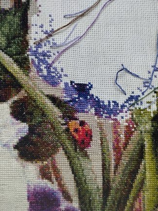 Ирисы и шмель №183090