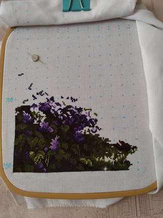 Сиреневый сад (Золотое Руно) №183167