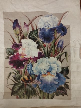 Ирисы и шмель №183453