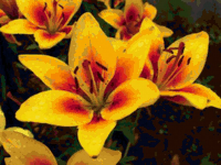 Лилии - лилия, цветы, природа - предпросмотр