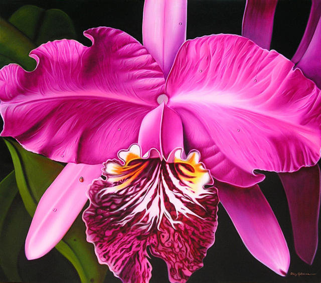 Орхидея - цветы, орхидея, природа - оригинал