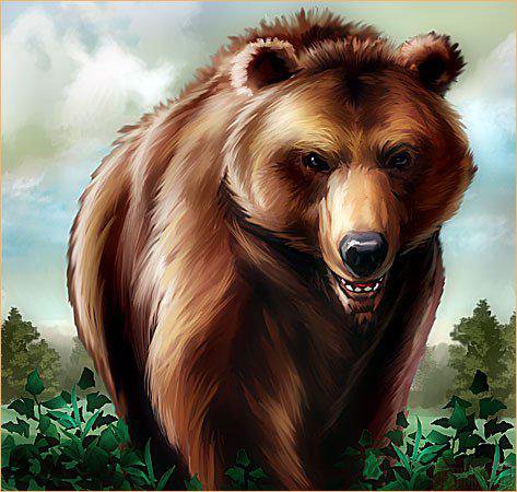 Медведь - животные, медведь, природа - оригинал