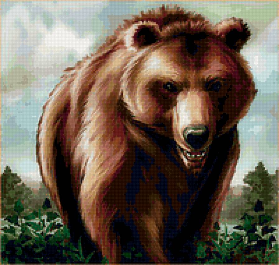 Медведь - медведь, животные, природа - предпросмотр