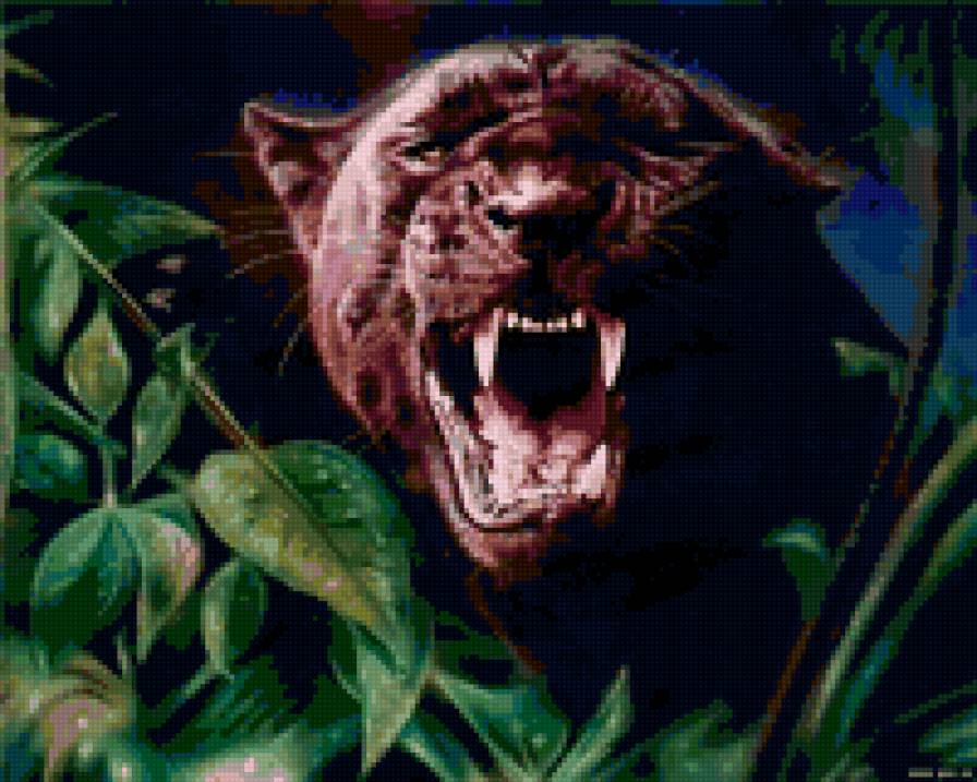 Пантера - животные, природа, пантера - предпросмотр