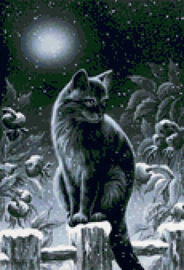 ночь - зима, ночь, кошка - предпросмотр