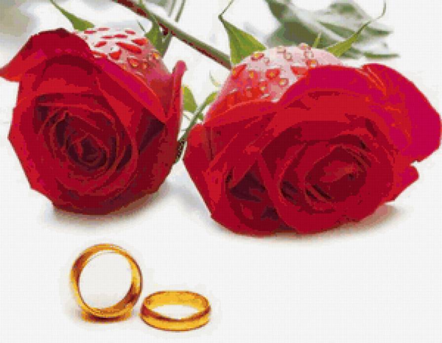 Свадебная картинка!) - flowers, цветы, розы, кольца - предпросмотр