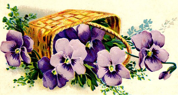 Анютины глазки - анютки, ретро, анютины глазки, виола, цветы, красота, букет - оригинал