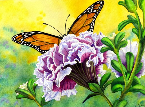 Цветы и бабочки - красота, цветок, цветы и бабочки, бабочка, природа - оригинал