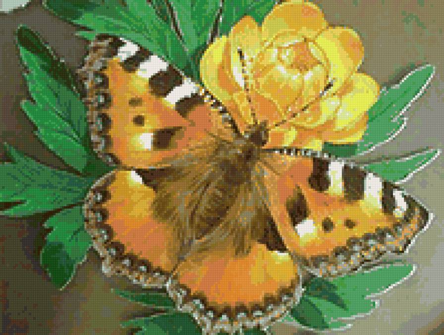 Бабочка и лютик - бабочка, цветок, цветочек, цветы и бабочки, природа, лютик - предпросмотр