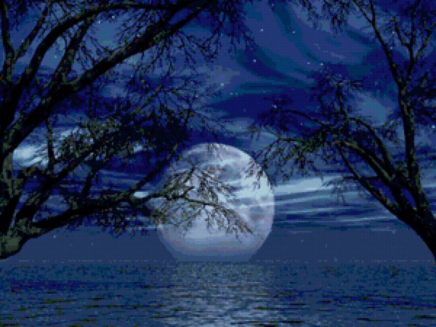 Очень,очень красиво!) - ночь, луна, полнолуние - предпросмотр