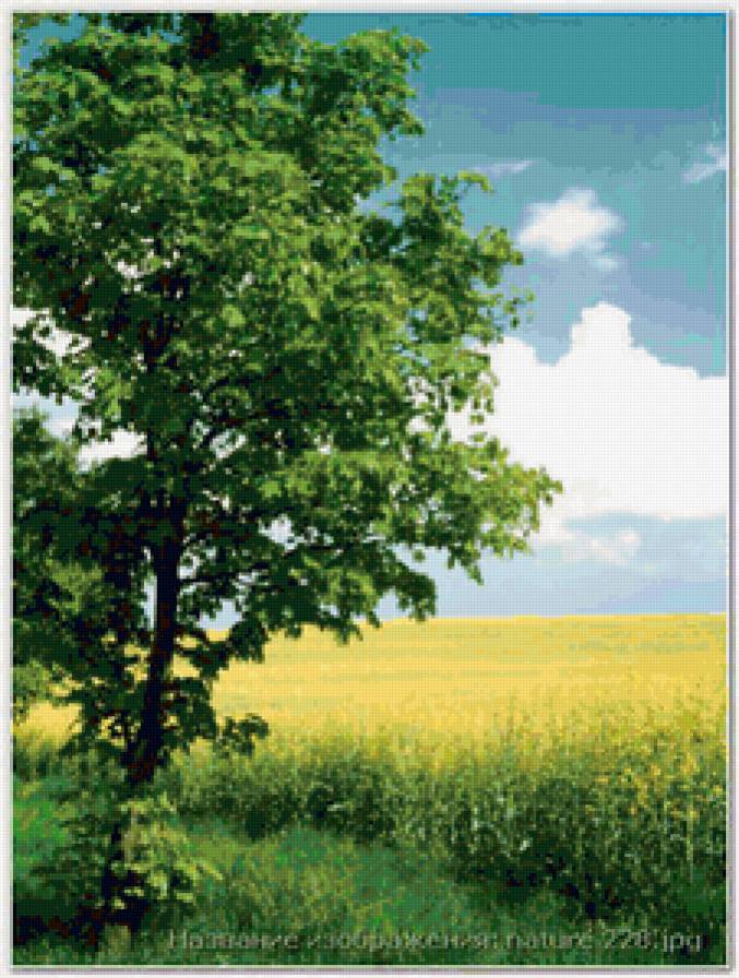Дерево на поляне!) - природа, солнечно, дерево, полянка - предпросмотр