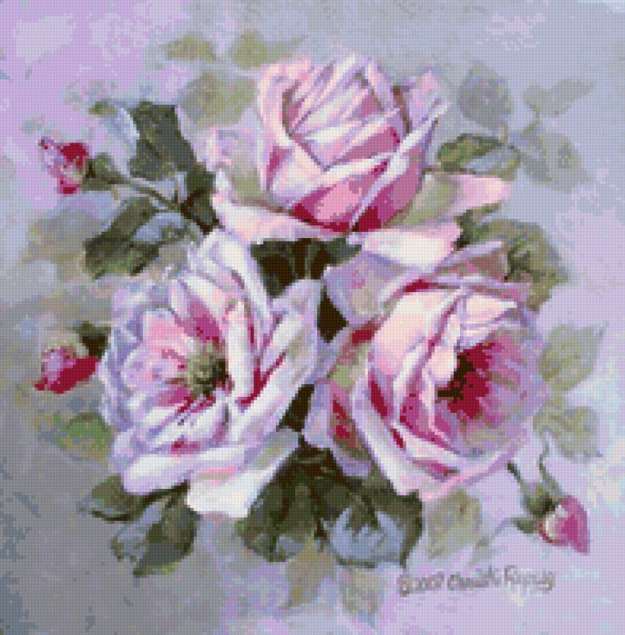 Розы - флора, цветок, душистые розы, роза, розочки, цветы, розы - предпросмотр