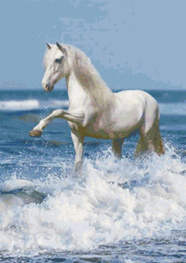 Белая лошадка) - животные, лошадь, лошадка - предпросмотр