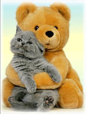 Плюшевый медвежонок с кошечкой) - кошечка, друзья, кошка, медвежонок - оригинал
