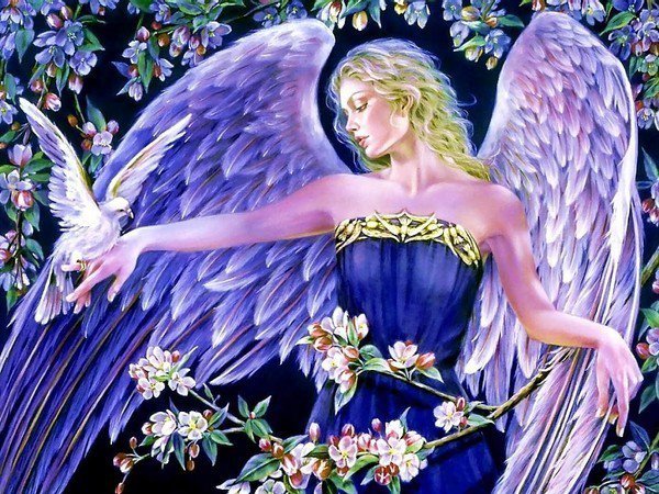ангел - красивая, птицы, девушка, красота, голуби, сказка, ангел - оригинал