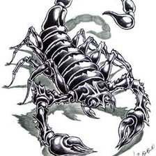 Оригинал схемы вышивки «скорпион» (№1112)