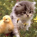 Схема вышивки «друзья»