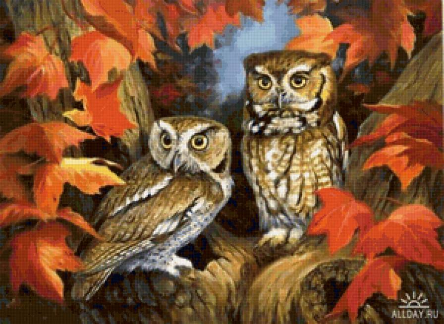 совы в осеннем лесу2 - сова, птицы - предпросмотр