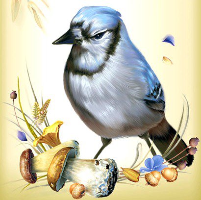 Птичка и грибочек - цветы, птицы, райские птички, птичка, грибы - оригинал