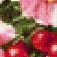 Предпросмотр схемы вышивки «Ветка вишни» (№2162)