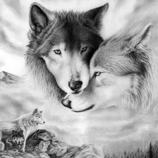 волчья любовь