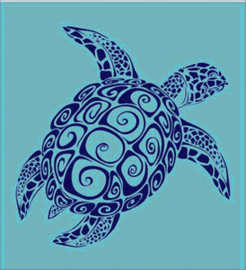 черепаха - черепаха, черно-белый, голубой - предпросмотр