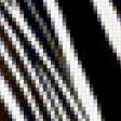 Предпросмотр схемы вышивки «зебра 5» (№2445)