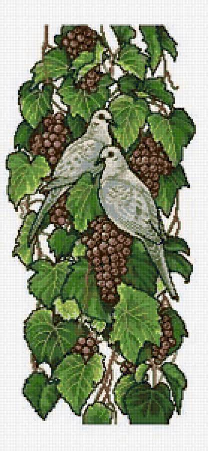 Голуби на винограде - ягоды, голуби, виноград, птица, гроздь, голубь, лоза, птицы - предпросмотр