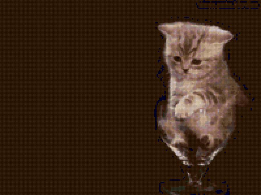 №2566 - животные - предпросмотр