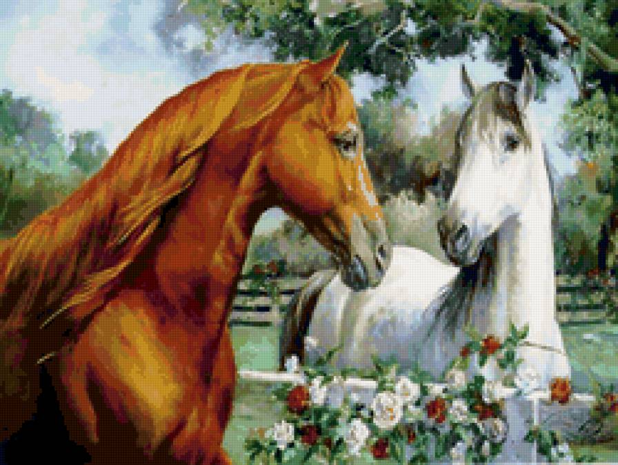 пара лошадей - лошади, лошадь, любовь, пара, животные - предпросмотр