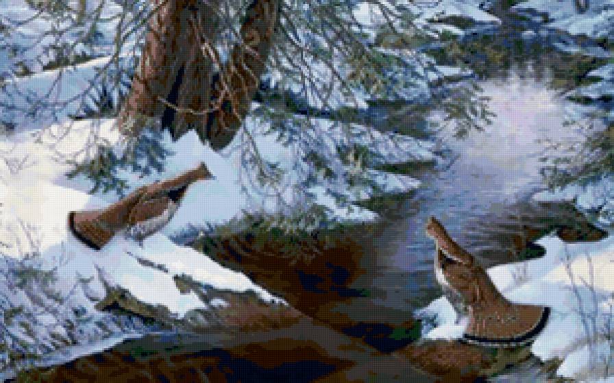 зима - лес, зима, вода, ручей, птицы - предпросмотр
