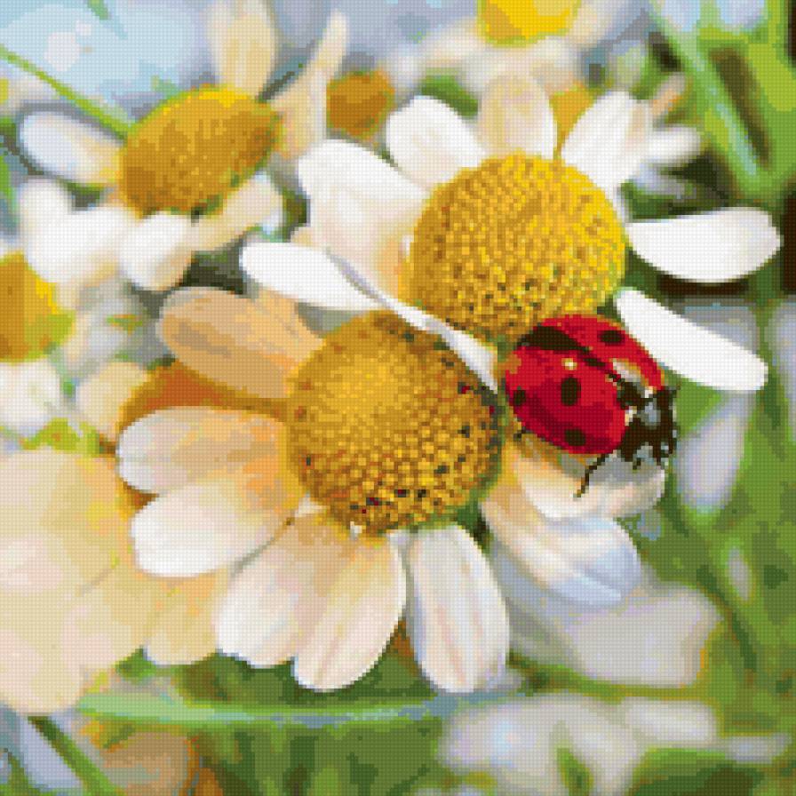 Божья коровка - цветы, подушка, живопись - предпросмотр