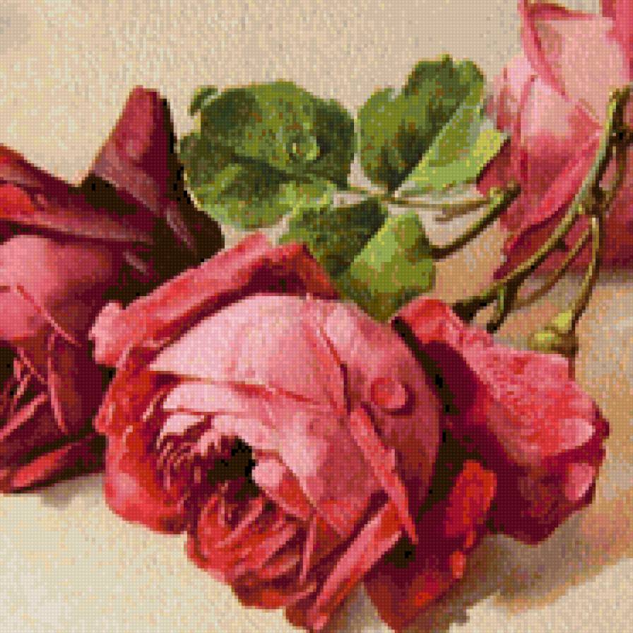 Три розы - цветы - предпросмотр
